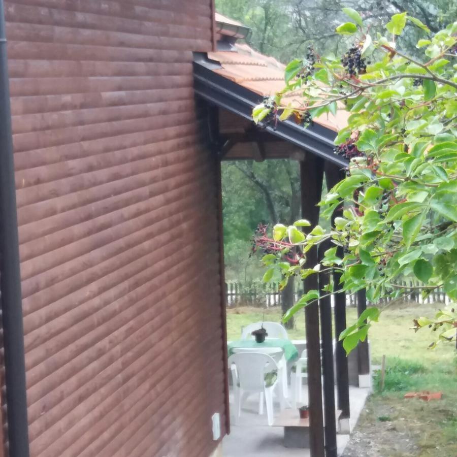 Vitas Kremna Exteriör bild